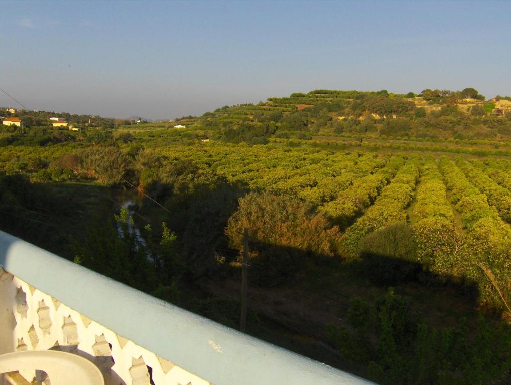 Surrounding environment