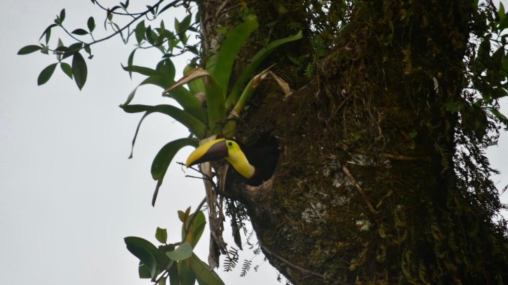 Villa Tucan photo