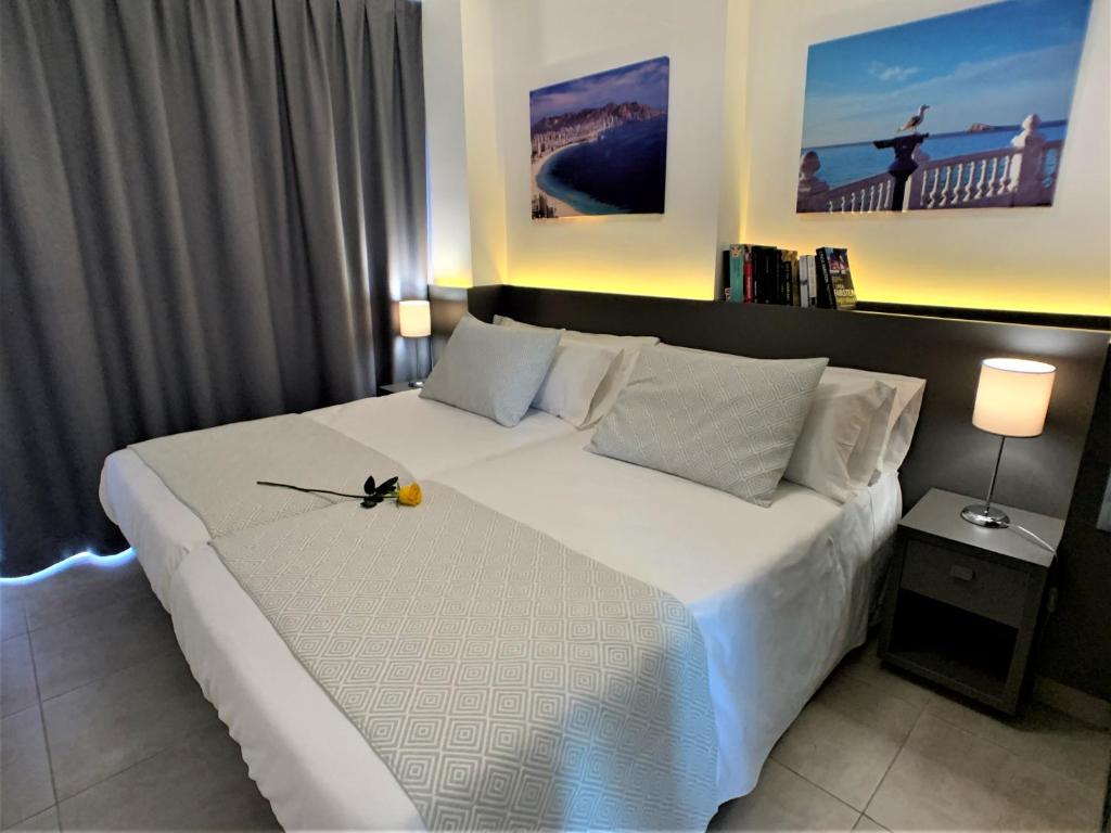 Los Álamos — Hotel rooms in Benidorm, Valencian Community