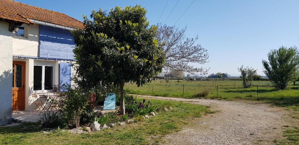 Petite maison refaite à neuf dans mas du 19ème siècle - 5