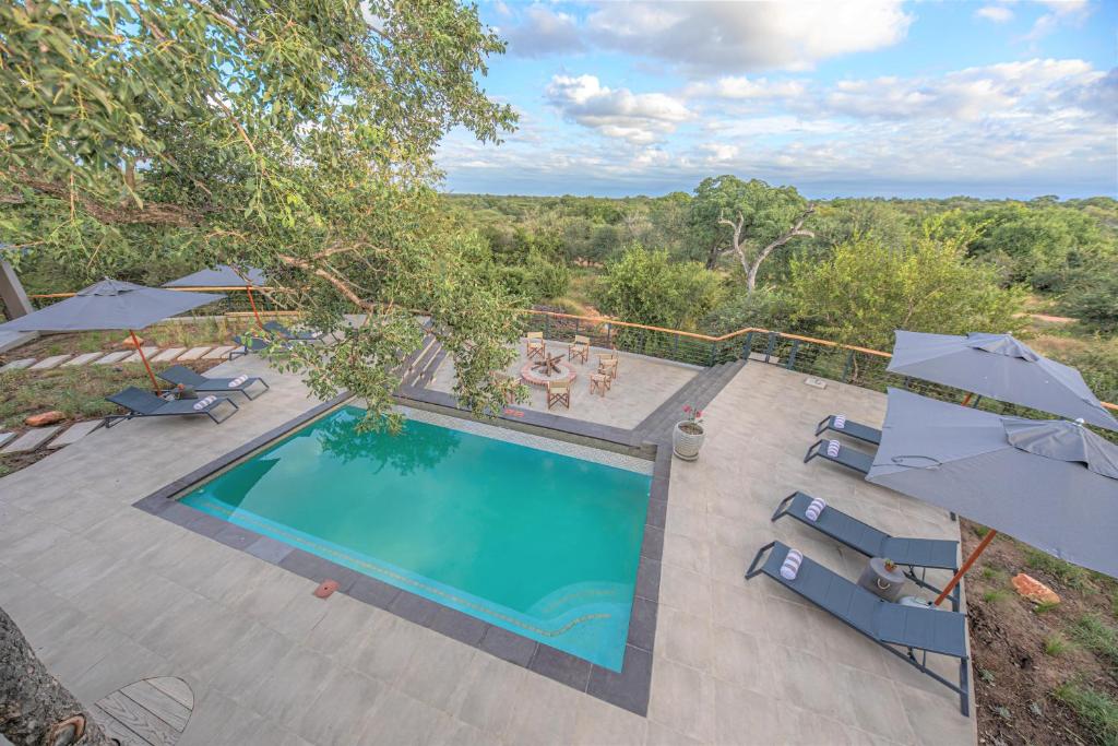 スイミングプール