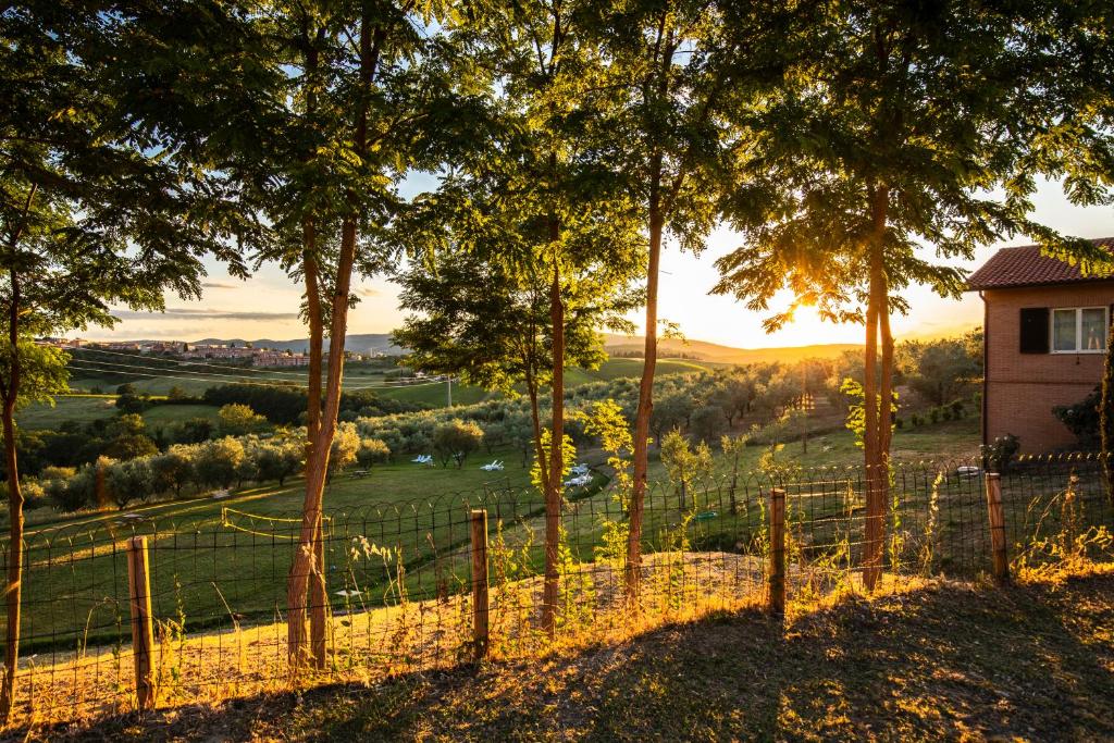 Agriturismo Il Sambuco - 4