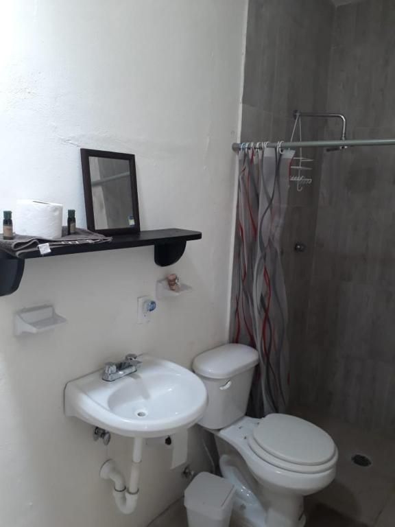 Bea rooms and studios photo