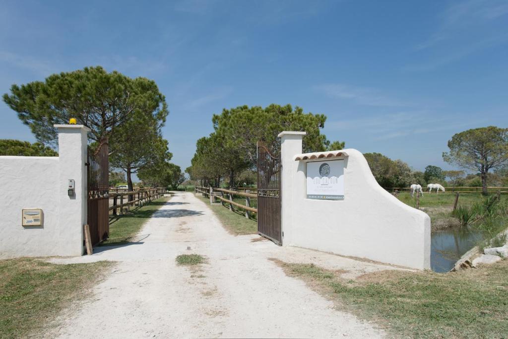 Mas Lou Caloun - Chambre d'Hôte face à la piscine en Camargue - Les Saintes Maries de la Mer - 5