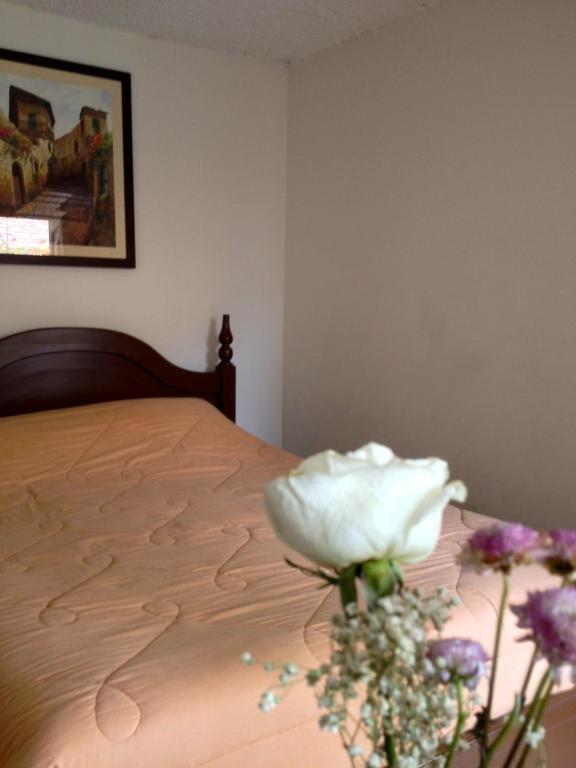 Casa Macondo Bed & Breakfast photo
