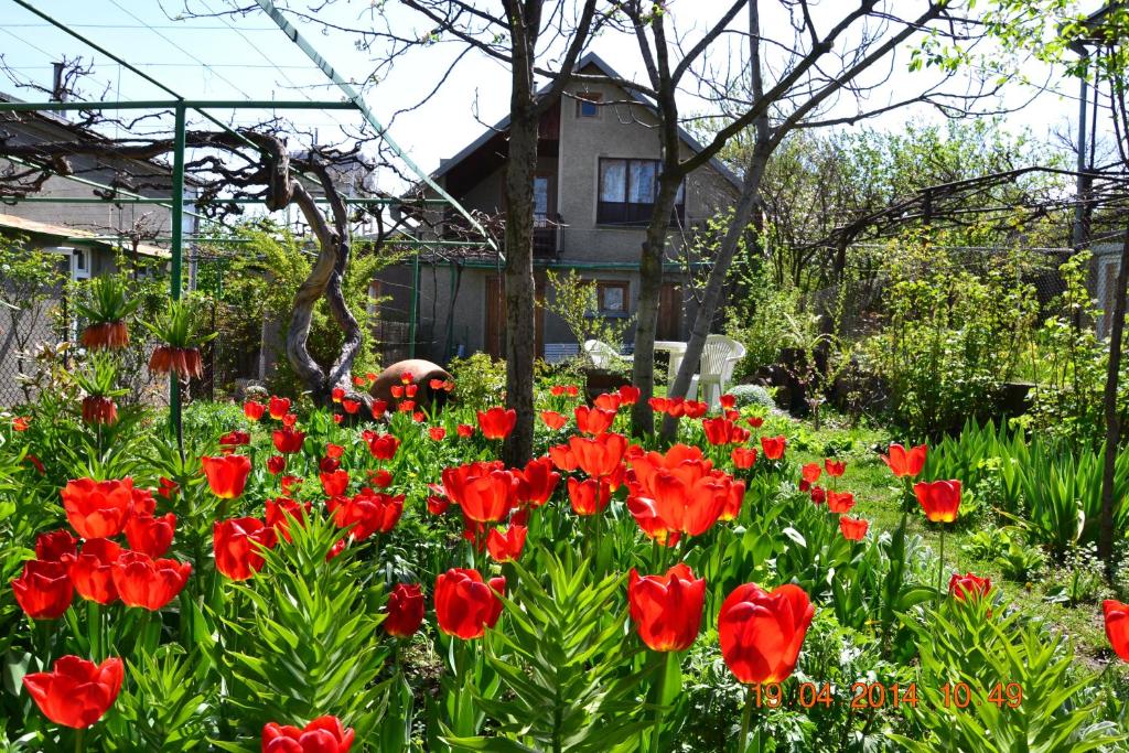 Milorava's Guest House &amp; Wine Cellar — Hotel in Telavi