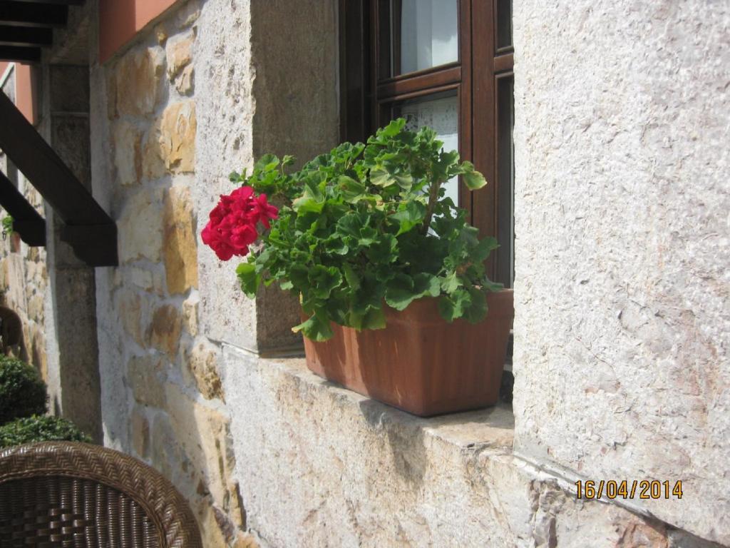 Hotel Rural Entremontes photo