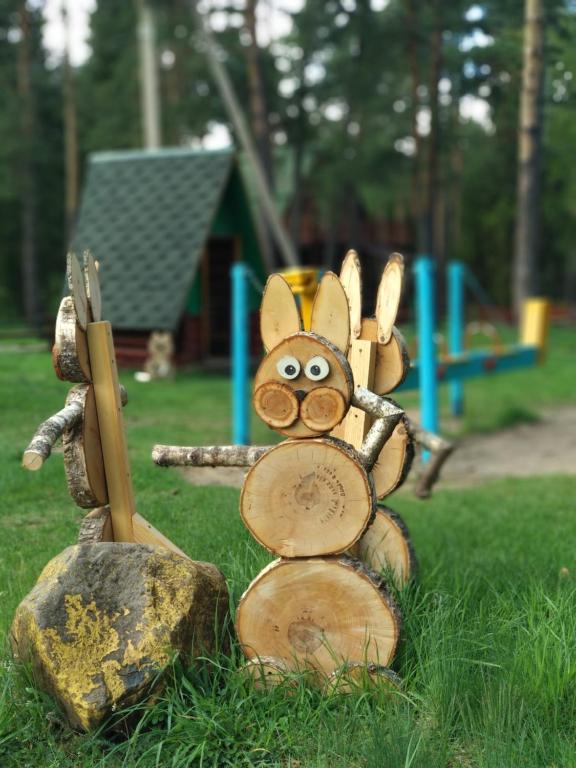 Sosnoviy Bor eco health resort photo