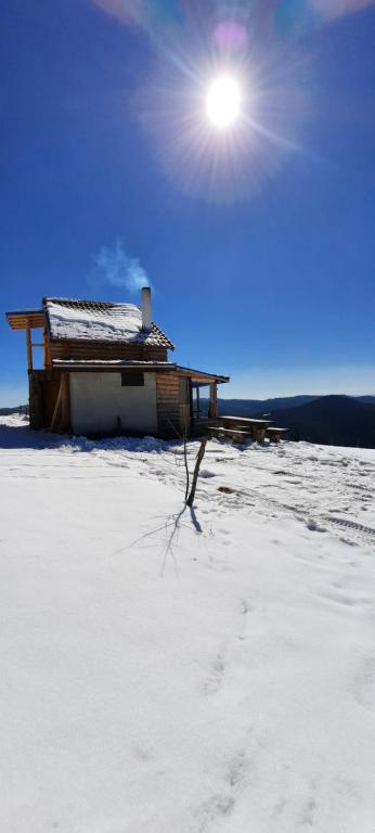 Вила Орцево Vila Ortsevo photo