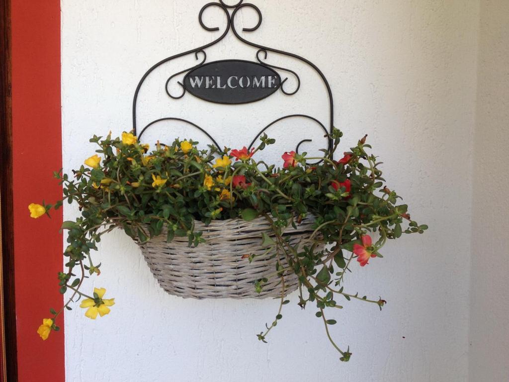 Apartment in villa 2 to 4 persons with large private garden Sole - 5