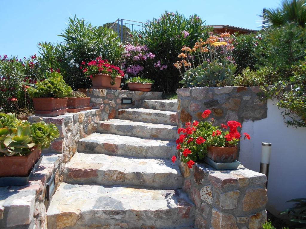 Apartment in villa 2 to 4 persons with large private garden Sole - 4