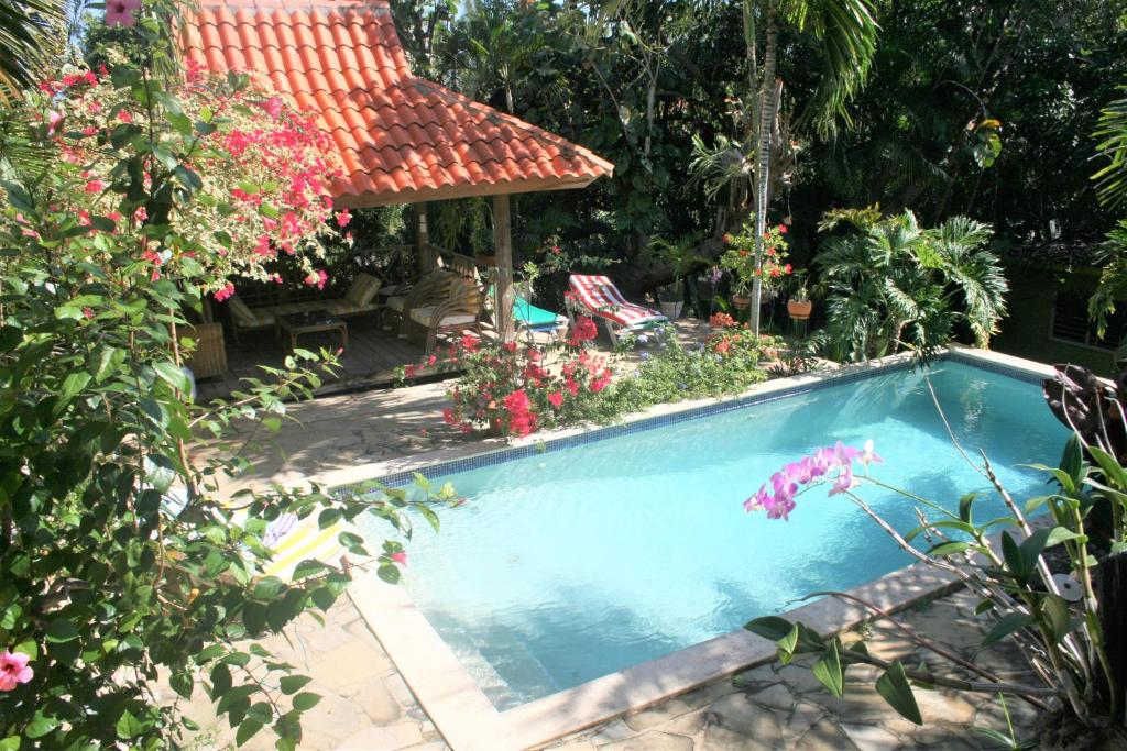 Casa Tropical photo