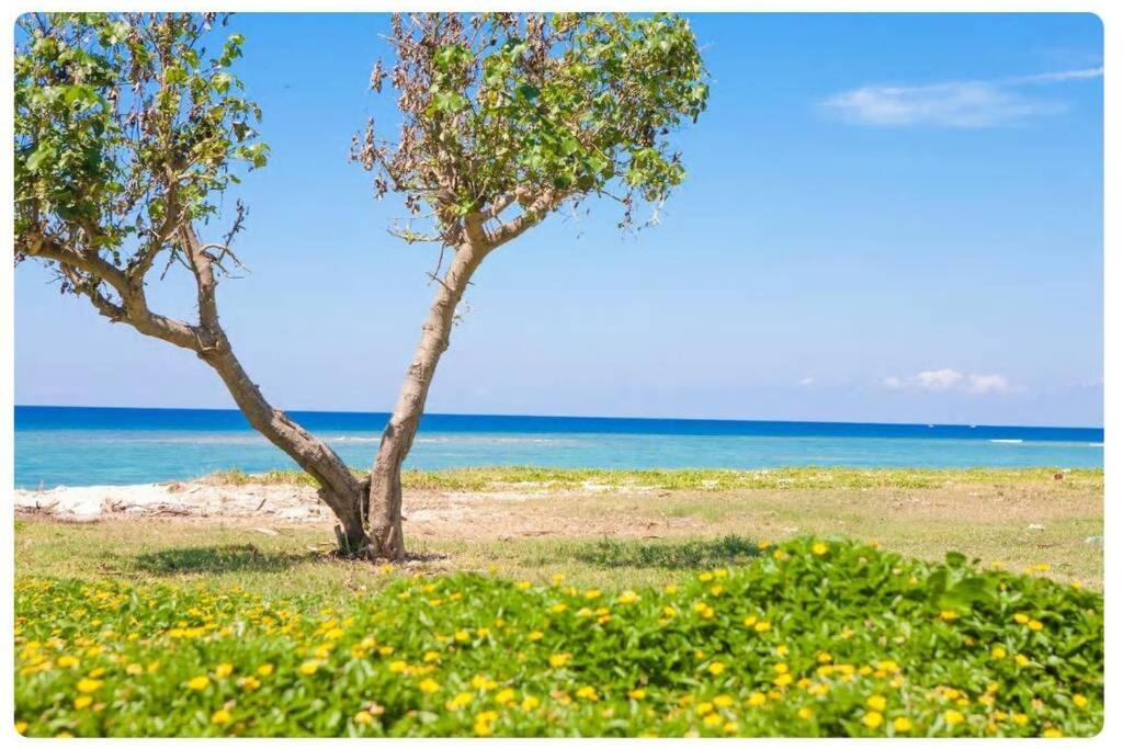 Villa resort SUN photo