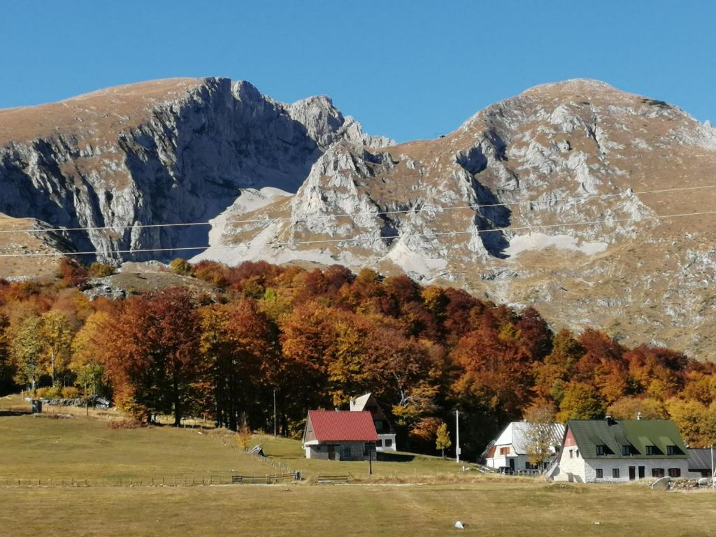 Mountain village, Žabljak