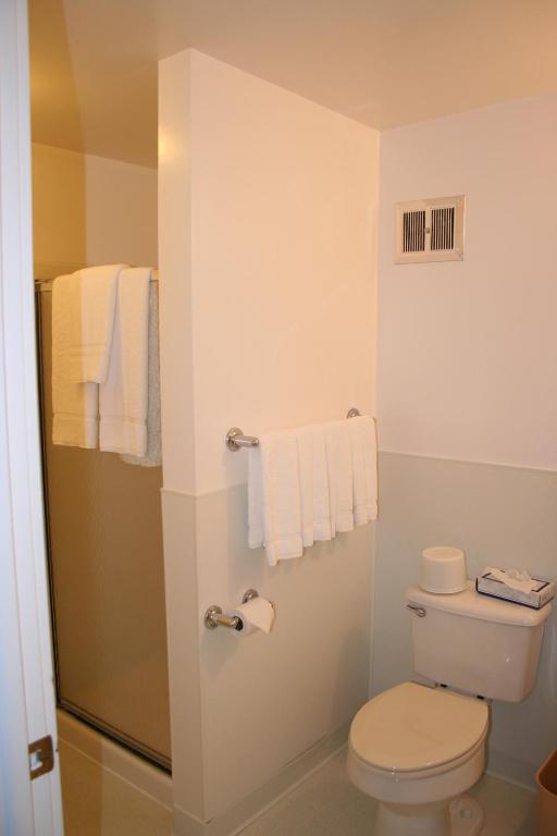 Visions Inn photo