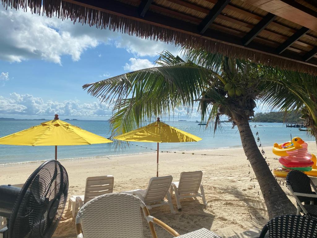 View