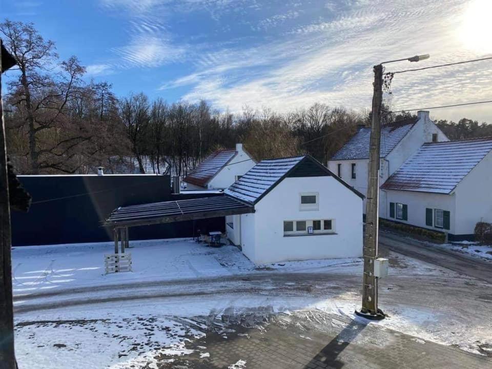 Manege volmolen, Maaseik