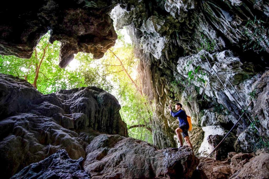 Surrounding environment