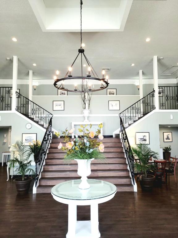 Best Price Motel & Suites photo