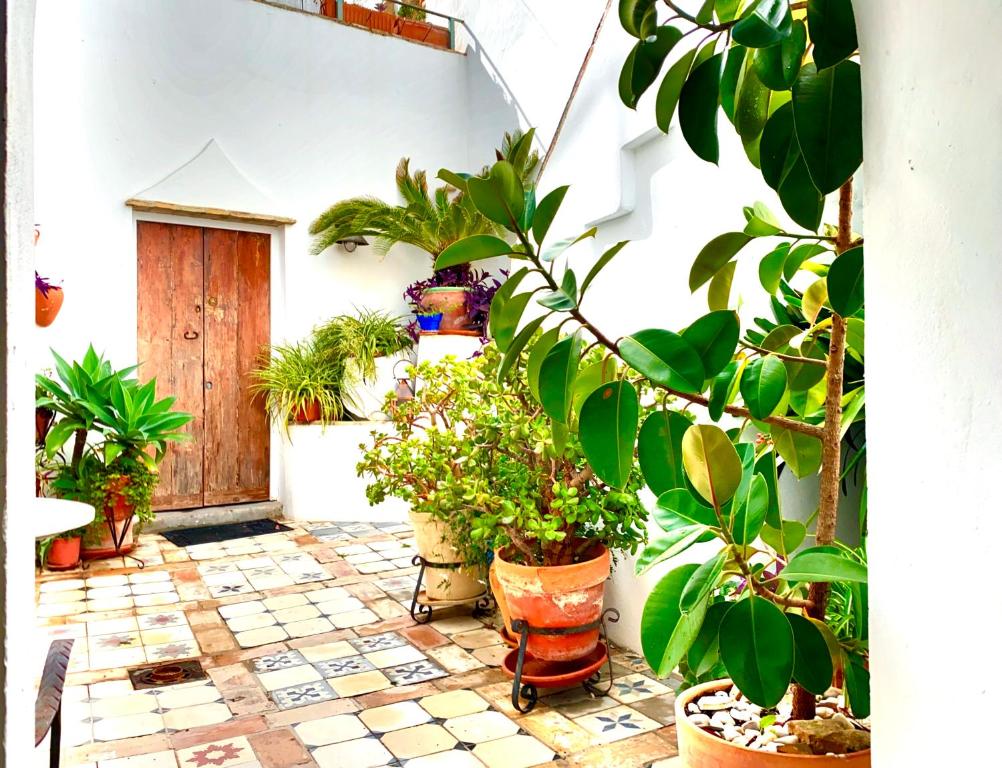 CASA LA FUENTE C Casas Vejer Debra - 4