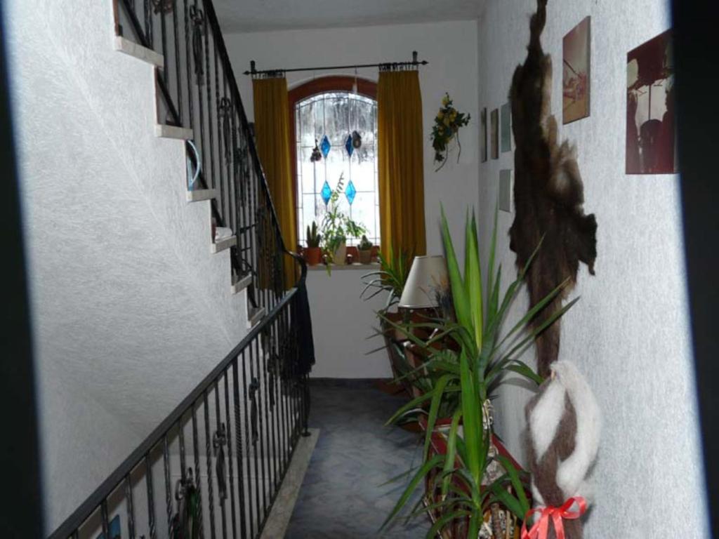 Gästehaus Schwaiger - 4