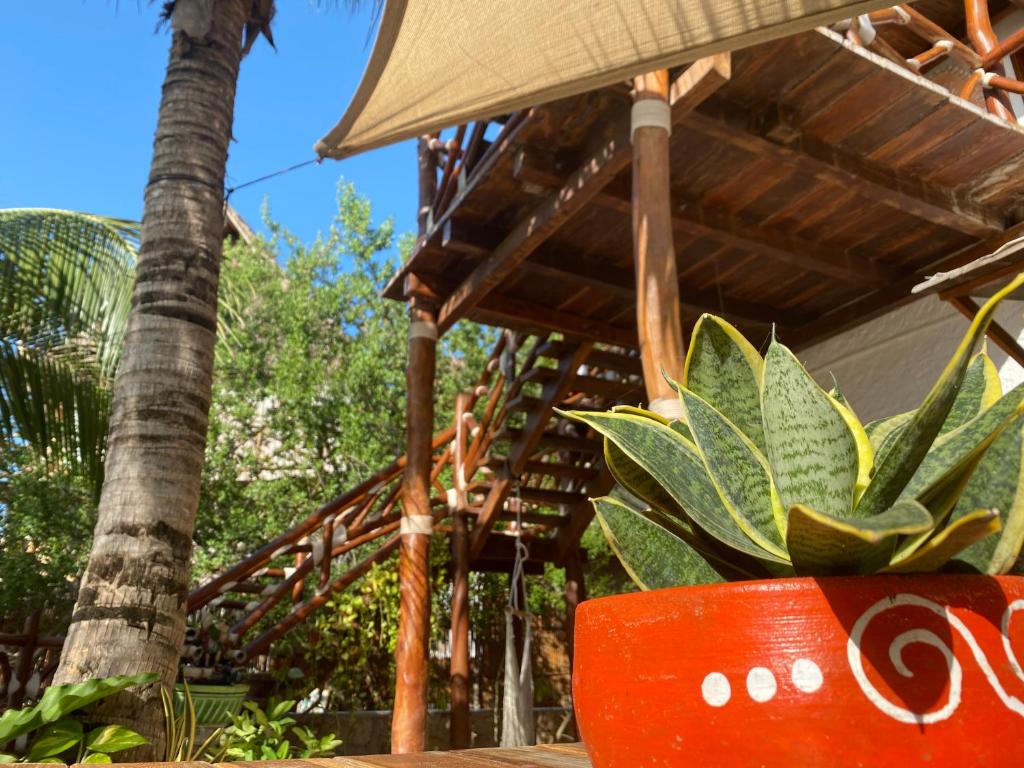 Hotelito Crismi - 5