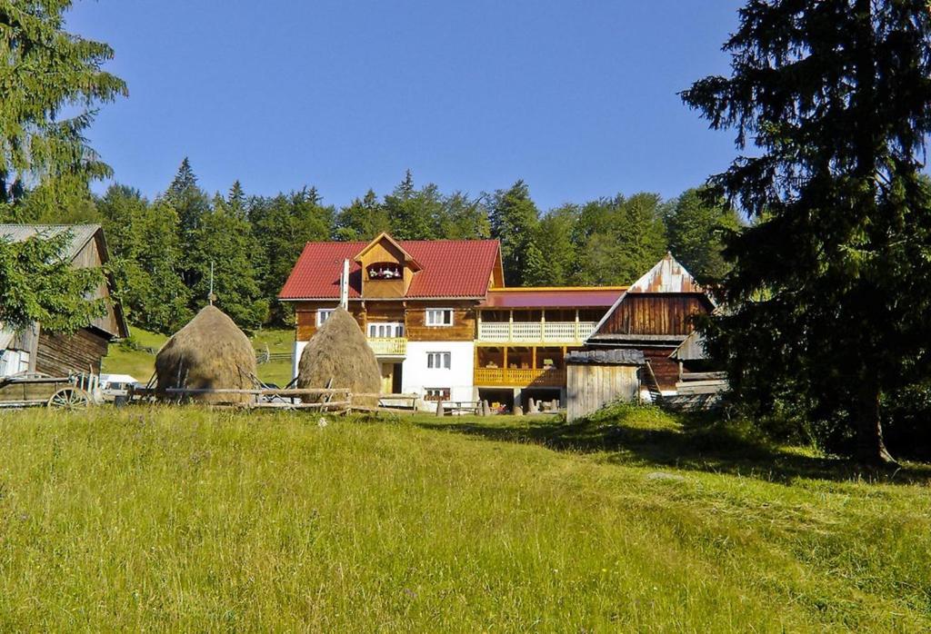 Pensiunea Scarisoara — Hotel in Arieseni