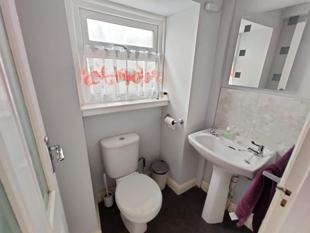 Llwynygog Guest House photo