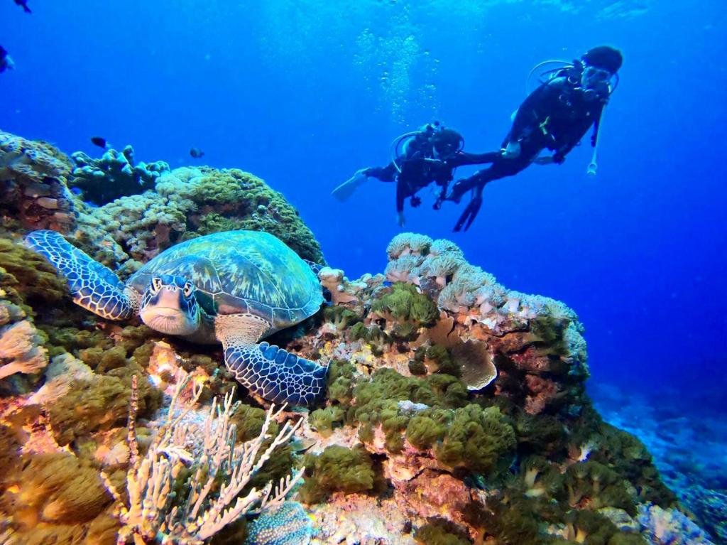 Sports and activities