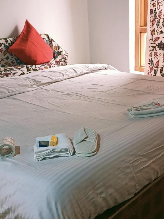 Backpackers — Hotel in Pahalgam