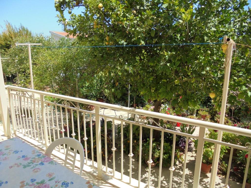 Niki Court Holiday Apartments photo