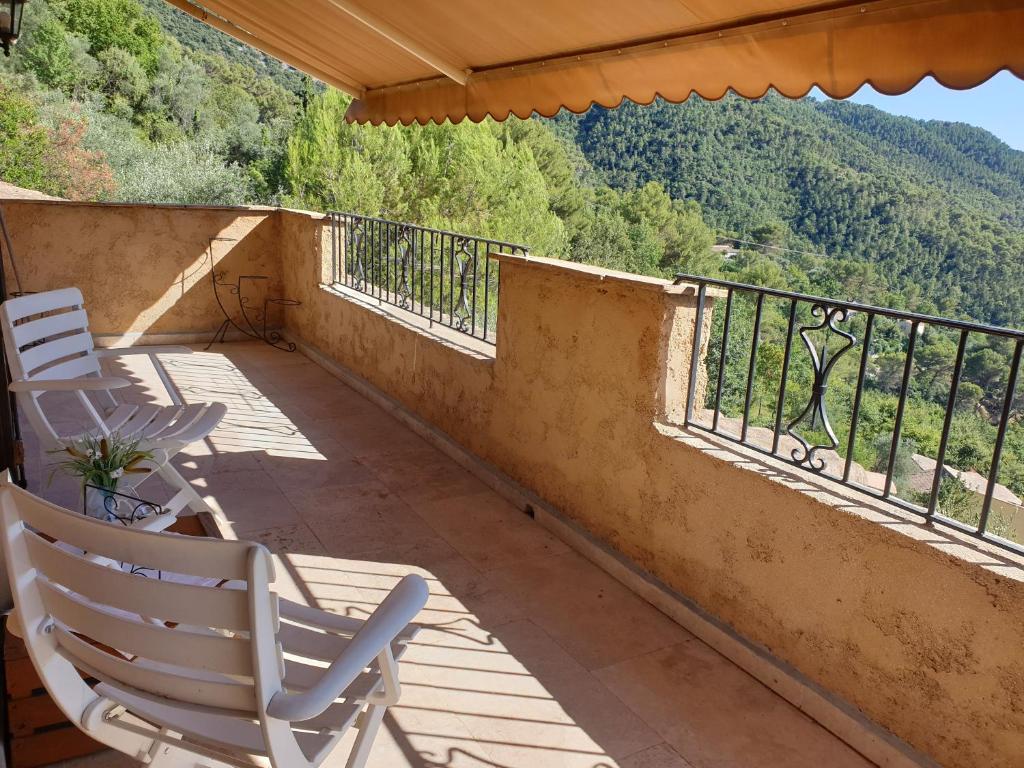 Authentic charming Provencal Villa in mountain 20 kms from Monaco and Nice - 4