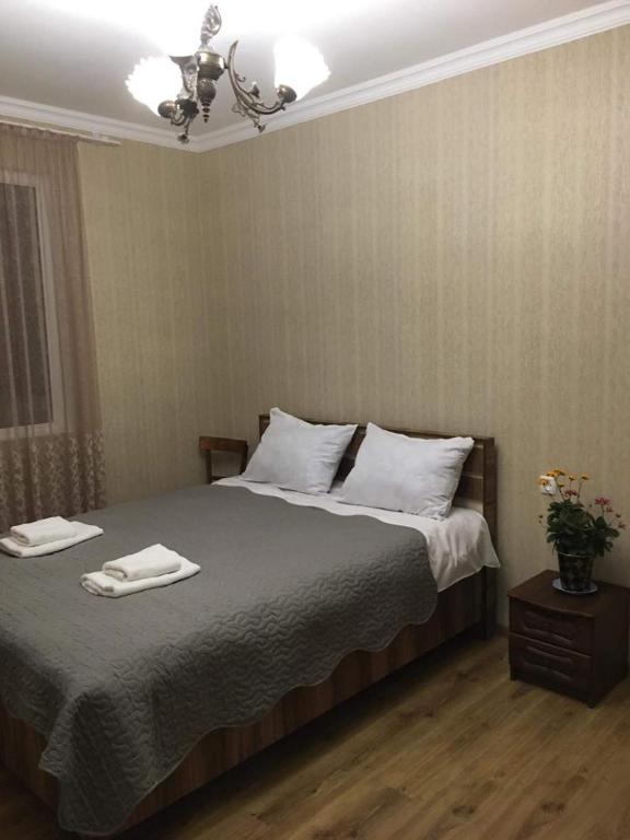 Guest house Babaka photo