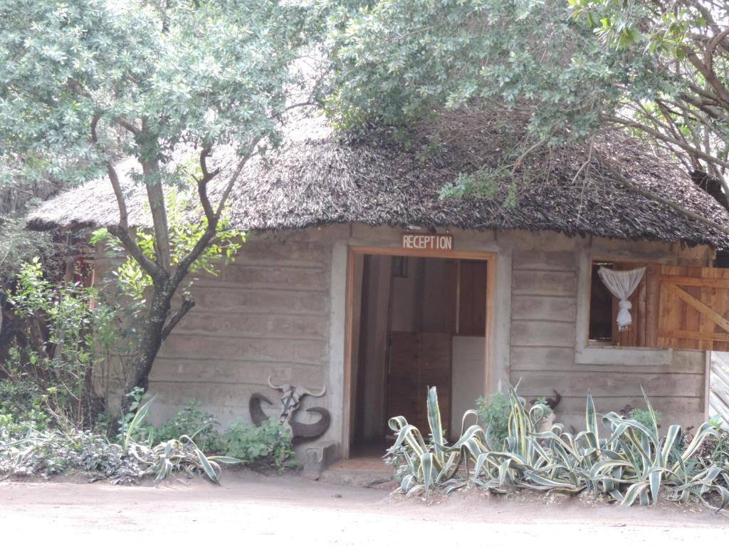 Enchoro Wildlife Camp Masai Mara photo