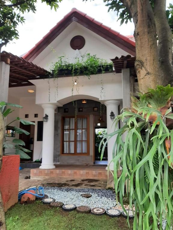 OMAH LUMUT Malang, Best Family Villa 3 Bedrooms Free Pool Kolam Renang, Malang