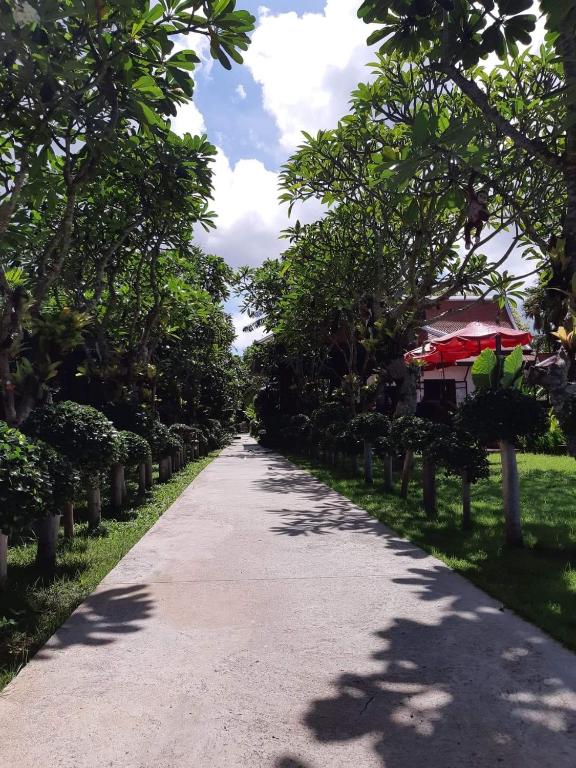 Surrounding environment