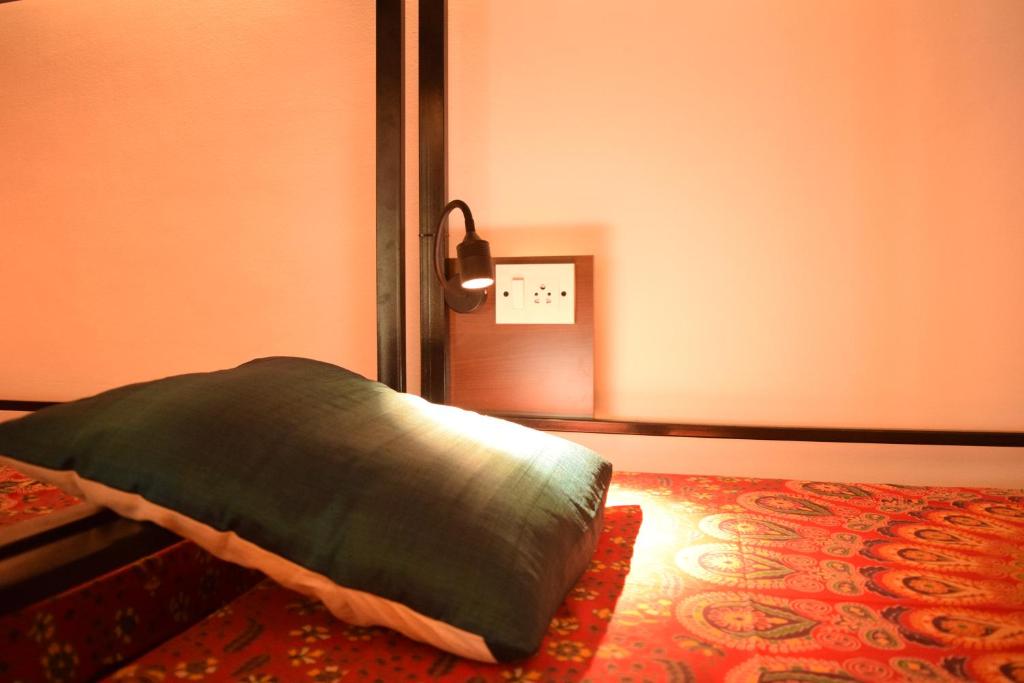 BE ANIMAL Hostel photo