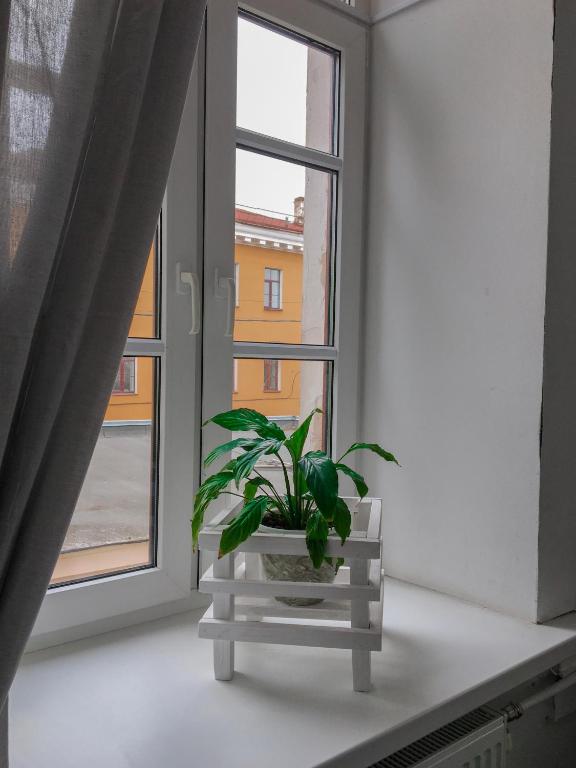 Гостевои дом Любава на набережнои photo