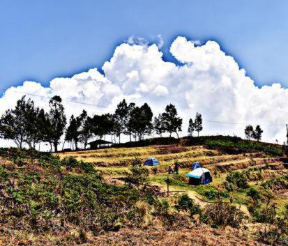 Into The Wild Camping コダイカナル インド 価格とレビュー Planet Of Hotels Into The Wild Camping コダイカナル インド 価格とレビュー Planet Of Hotels