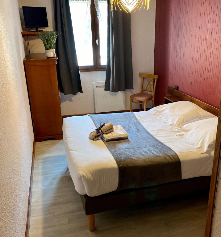 Hôtel des Alpes - 2