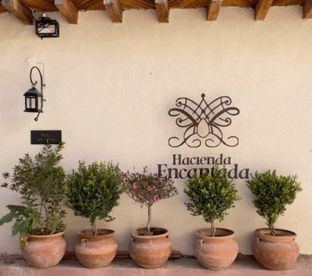 Hotel Hacienda Encantada photo