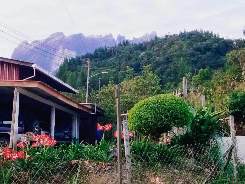 Kinabalu Valley Guesthouse photo