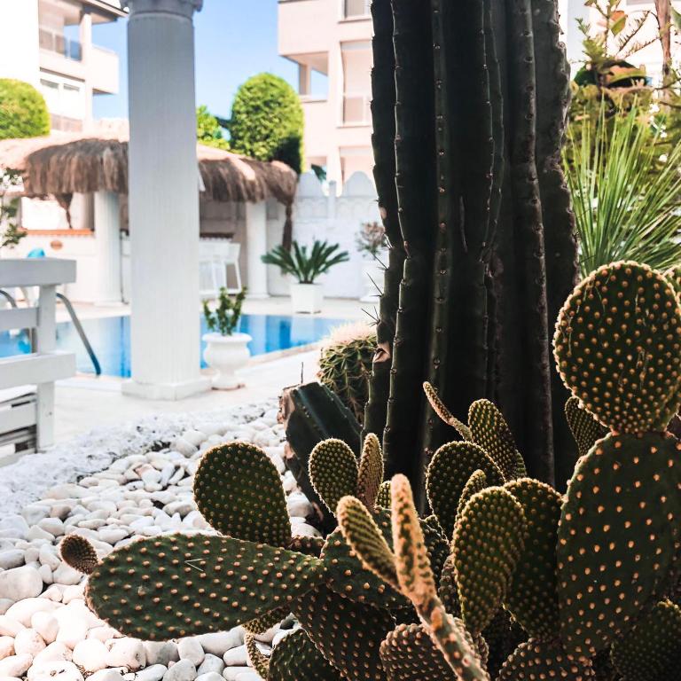Conny's Hotel (Adult Only) +18 — Swimming pool in Side