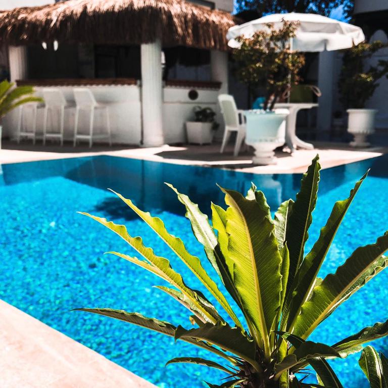 Conny's Hotel (Adult Only) +18 — Swimming pool in Side