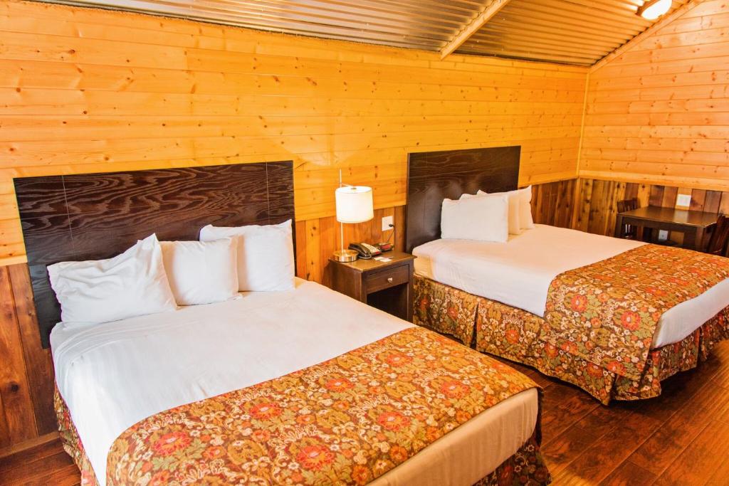 Lone Star Lodge photo