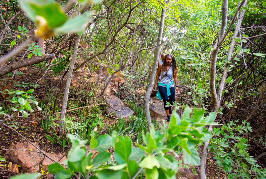 スポーツ/アクティビティ