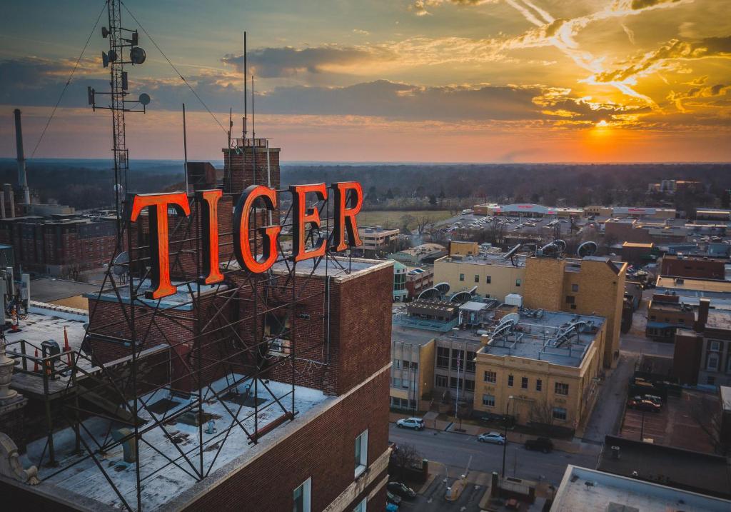 VOCO The Tiger Hotel photo