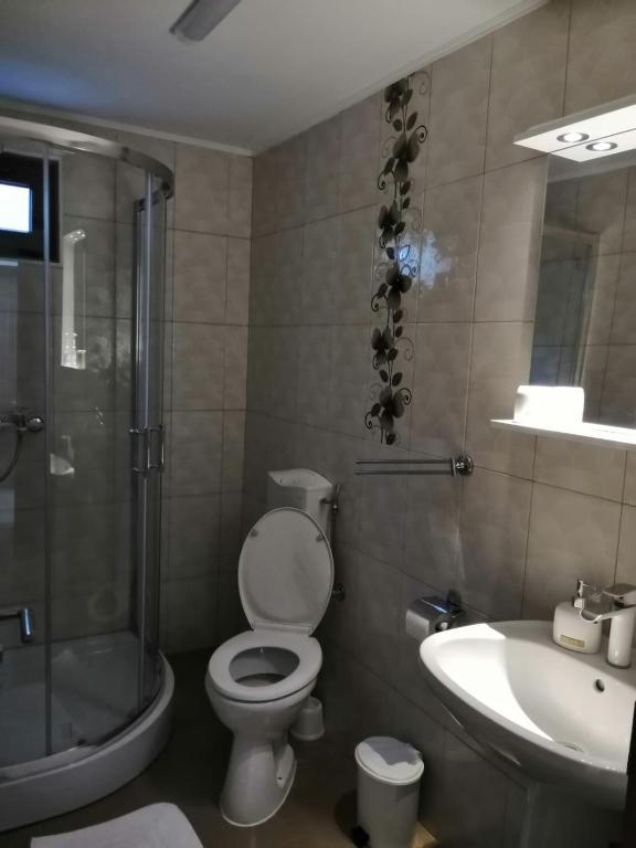 Pensiunea Corina Tulcea photo