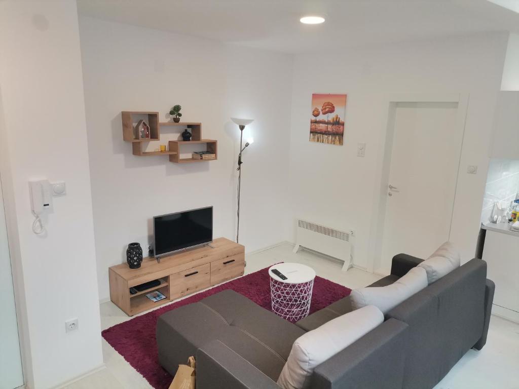 Apartman ST.Nedeljkovic Sokobanja - 2