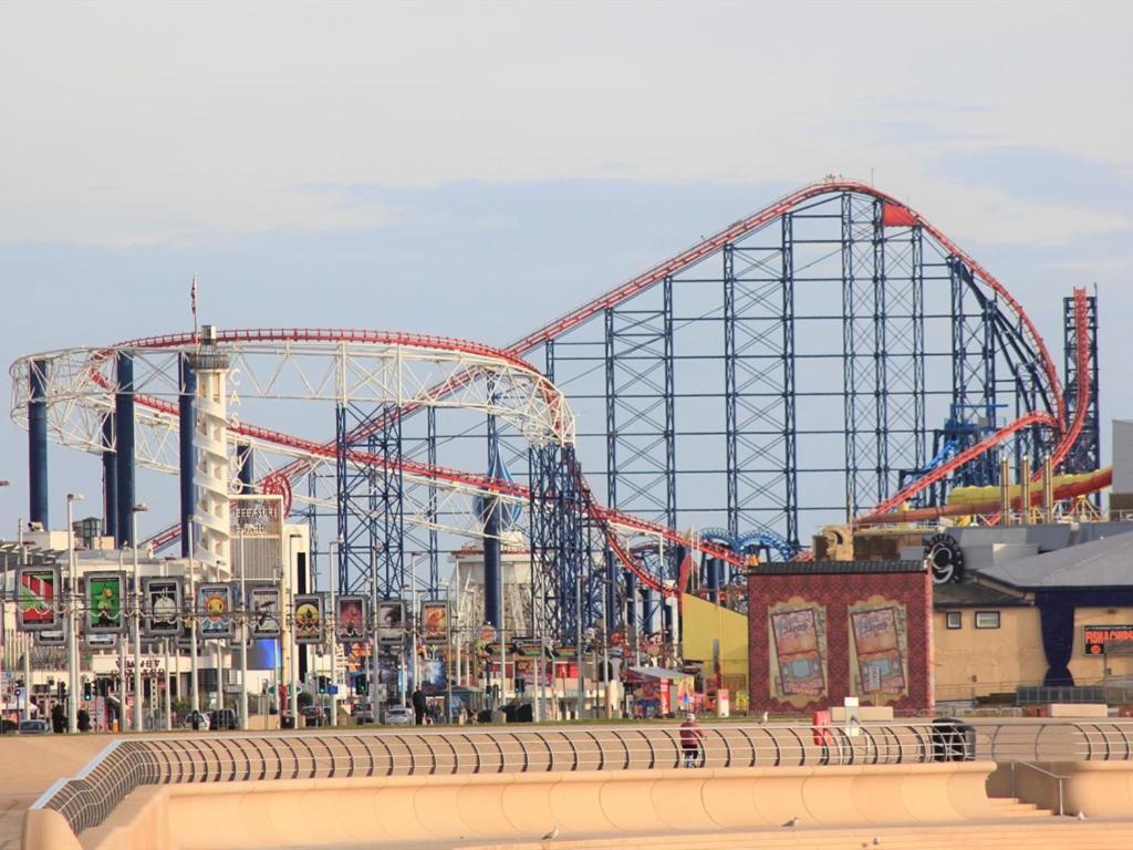 アクティビティ